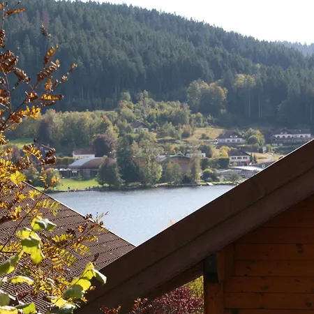 Vosgien Lägenhet Gérardmer