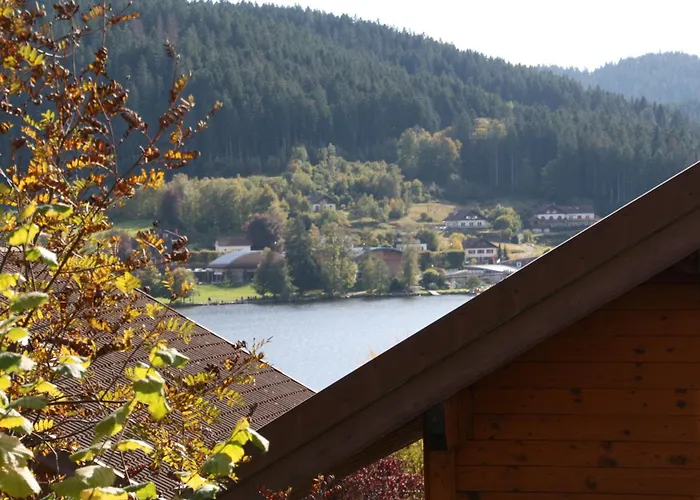 Vosgien Apartmán Gérardmer